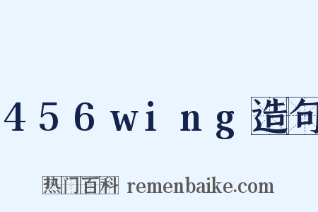 456wing造句是什么意思的图片